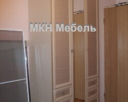 Шкаф с зеркалом на заказ от МКН Мебель
