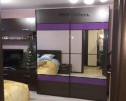 шкаф купе с навесными дверями Фиолет