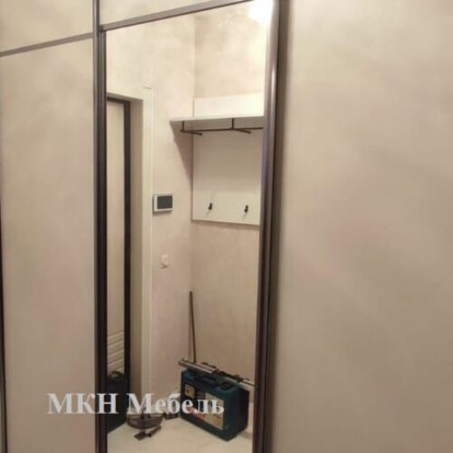Встроенный шкаф купе в прихожую с зеркалом от мкн мебель